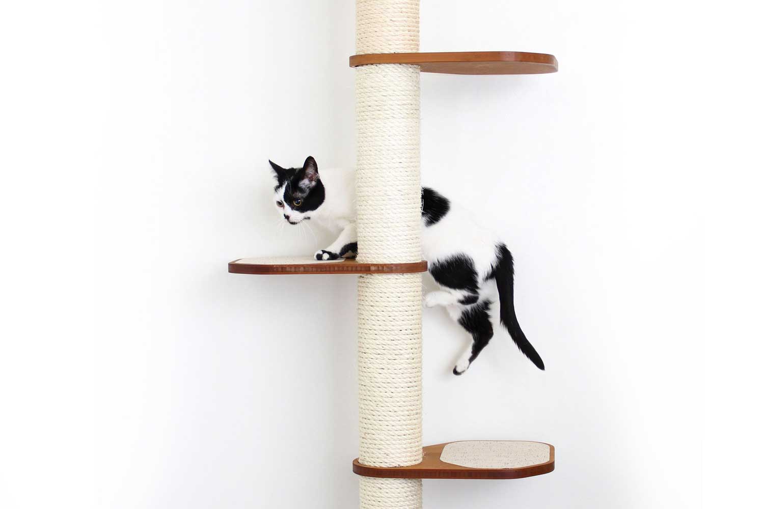 Wall Mounted Cat Climbing Pole - Sisal Cat Scratcher Catastrophic Creations