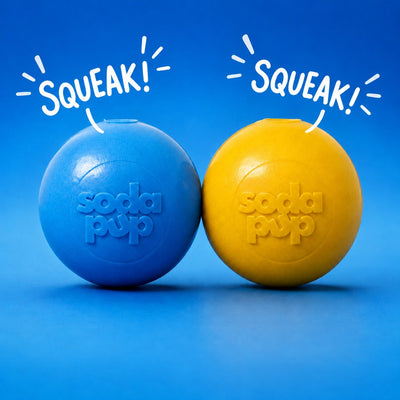 Squeak Ball - Durable Squeaky Dog Toy, Floats, Chew Toy | USA Made Rubber Dog Toys SodaPup/True Dogs, LLC