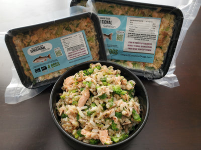 Sensational Salmon - Sampler 8 Pack Dog Food Din Din 4 Dogs
