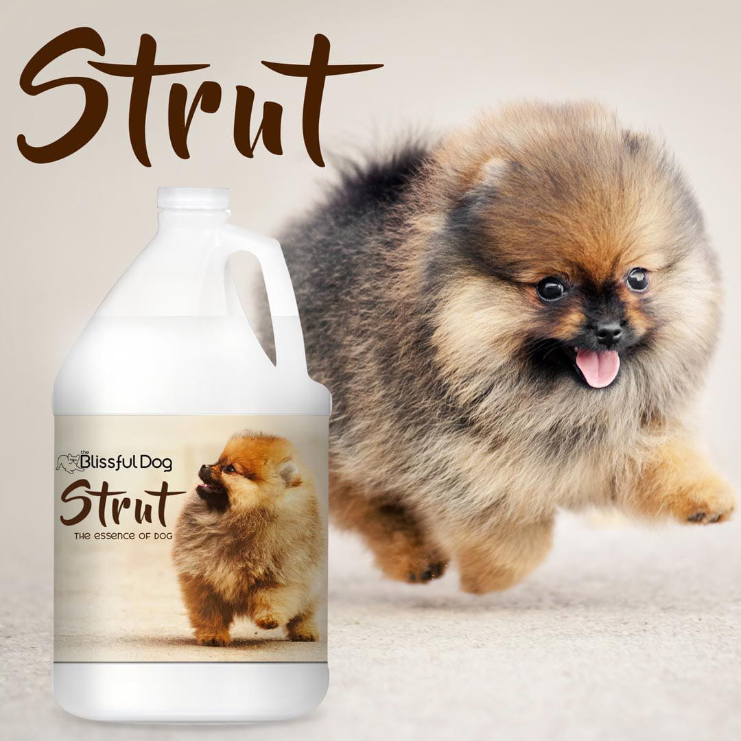 Strut Dog Cologne for the Ruler of the Kingdom US Gallon Cologne The Blissful Dog