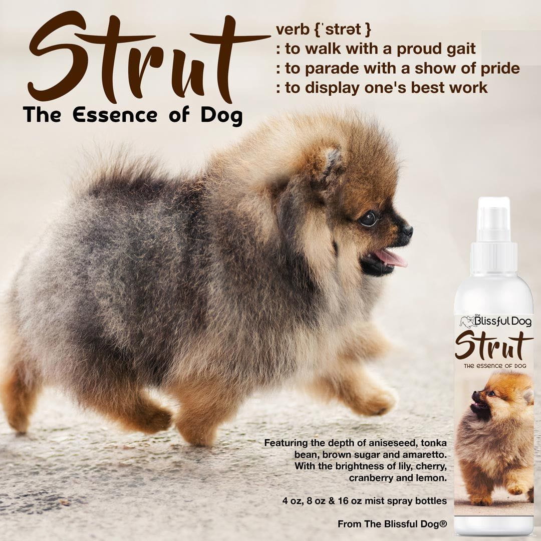 Strut Dog Cologne for the Ruler of the Kingdom 8 oz Cologne The Blissful Dog