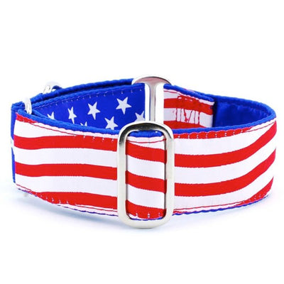 Stars and Stripes – Exclusive Martingale Dog Collar 2 Hounds Design
