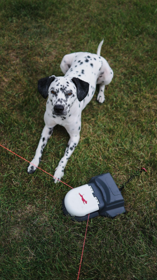 Home Original Kit Enrichment Product SwiftPaws