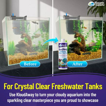 KloudAway Freshwater Aquarium Water Clarifier - 500ml Cloudy Water Treatment for Fish Tanks - Made in USA Pond Water Clarifier Aquatic Experts