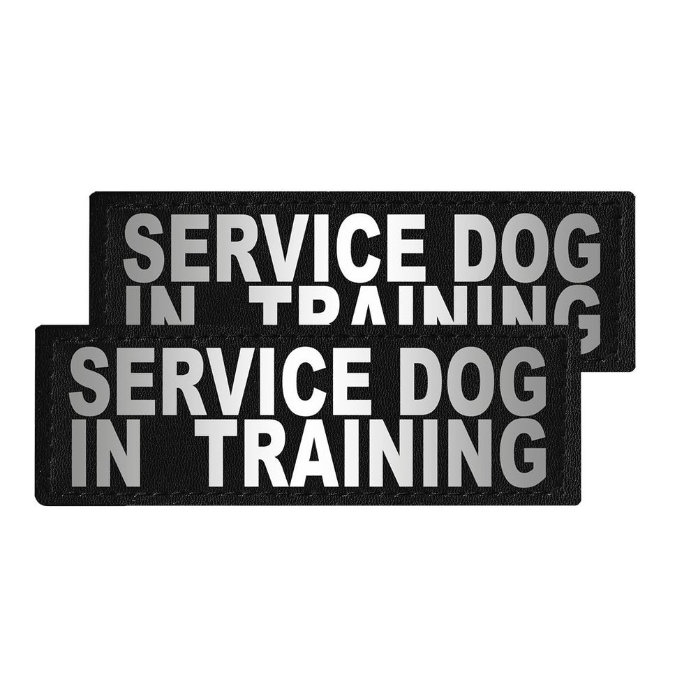 Removable Reflective Patches (Set of 2) "SERVICE DOG IN TRAINING" Dog Patches Dogline