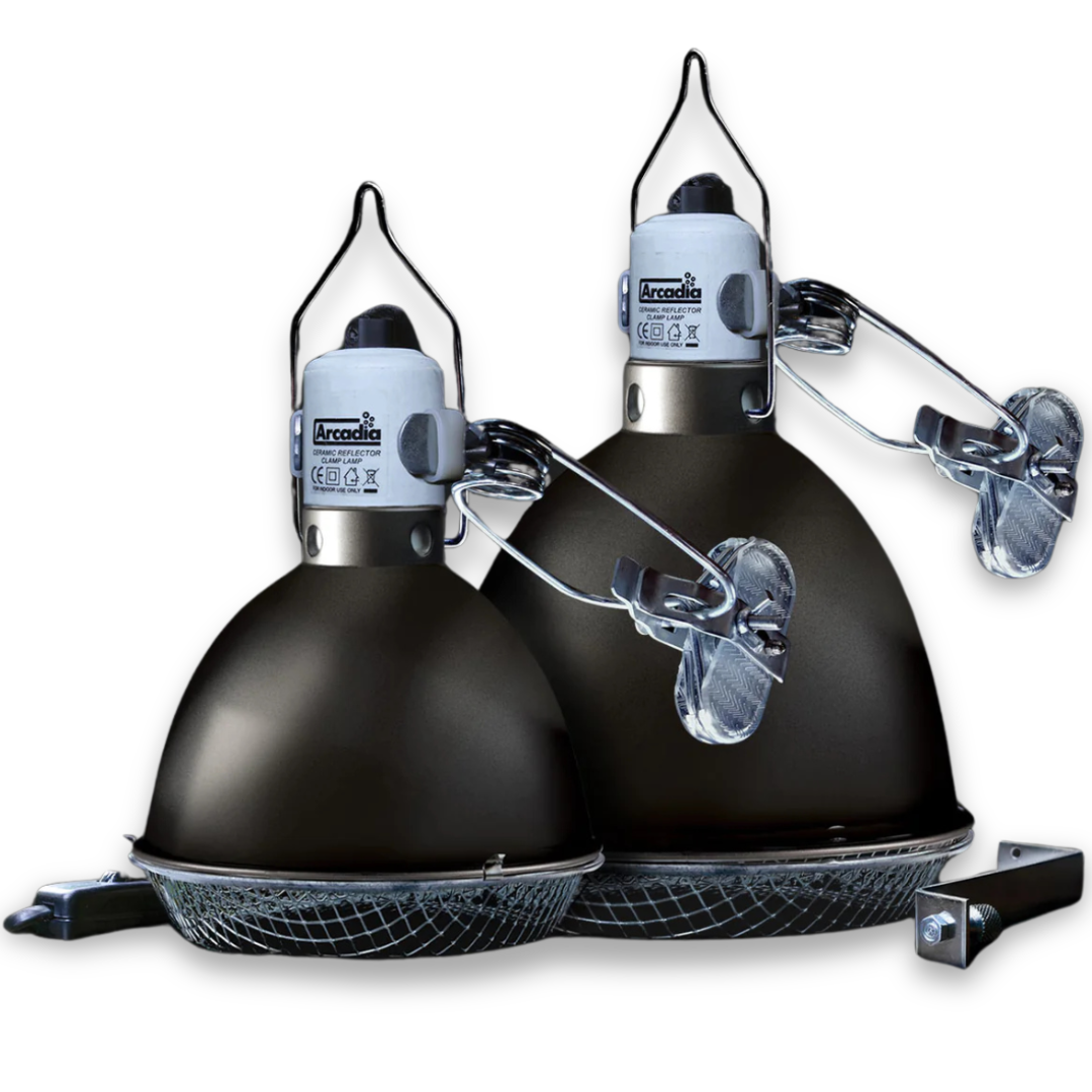Arcadia Ceramic Reflector Clamp Lamp, Graphite Heating ReptiChip LLC
