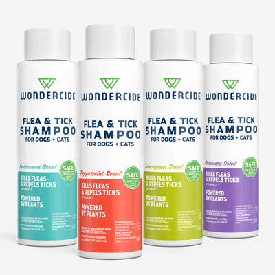 Flea & Tick Shampoo Flea and Tick Wondercide