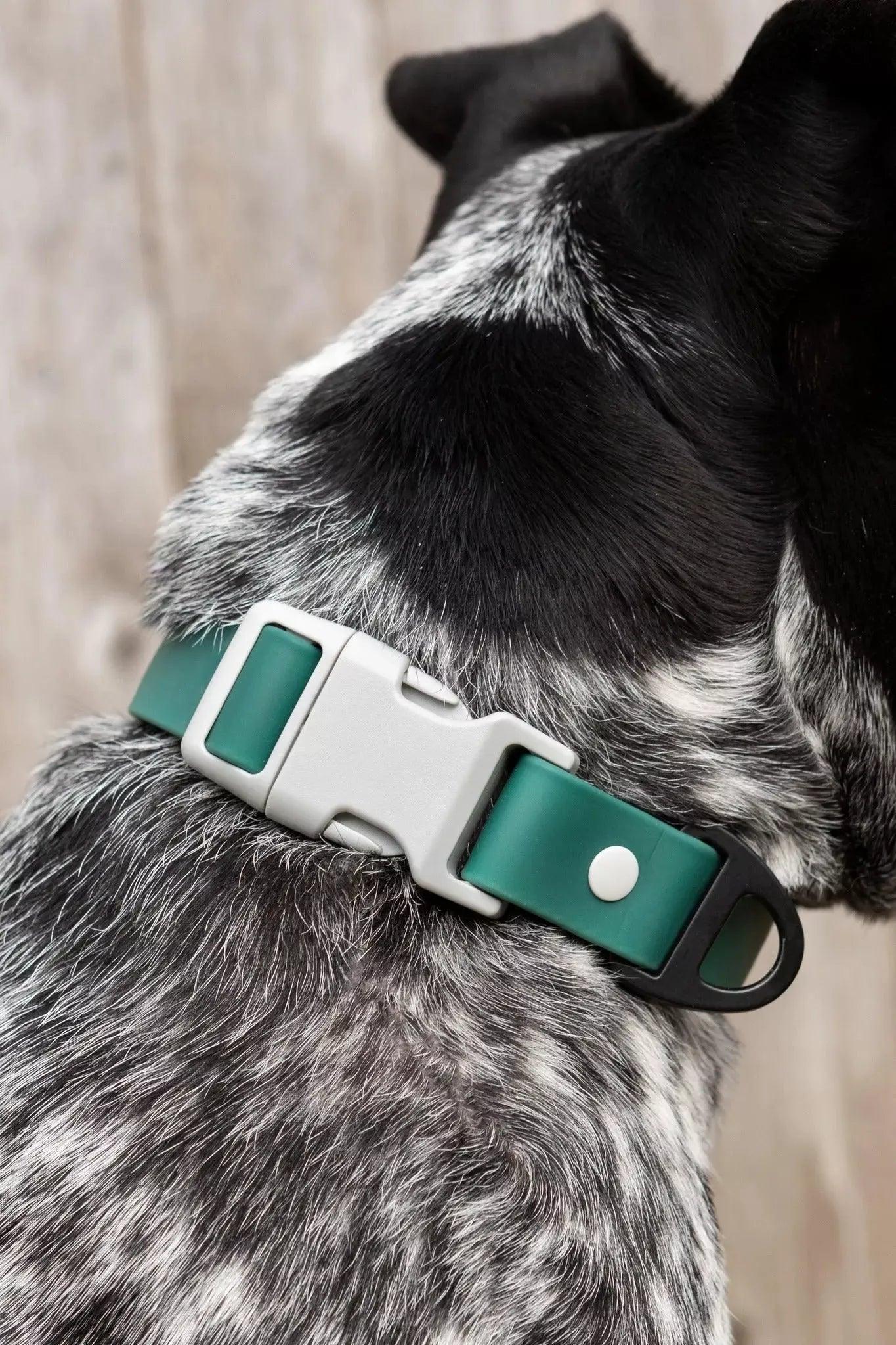 Siberian Spruce Waterproof Dog Collar Collar Aria the Fox
