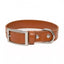 Sierra Sunrise Vegan Leather Dog Collar Sequoia Dog Collar Aria the Fox