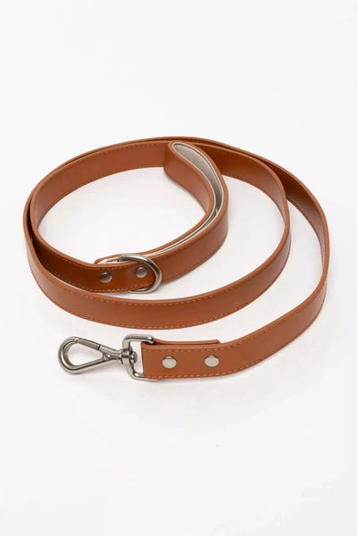 Sierra Sunrise Vegan Leather Dog Leash Sequoia Leash Aria the Fox