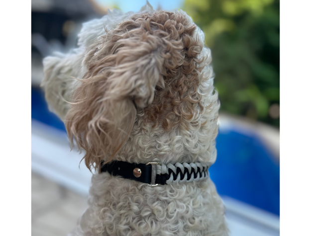 Fishtail Hand Braided Dog Collar in Black & Smoke Handmade Braided Collars Pawsh Pup Co.