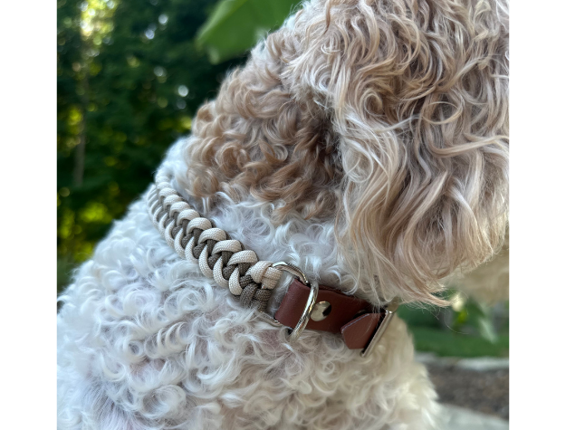 Fishtail Hand Braided Dog Collar in Tan & Cream Handmade Braided Collars Pawsh Pup Co.