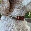 Fishtail Hand Braided Dog Collar in Tan & Cream Handmade Braided Collars Pawsh Pup Co.