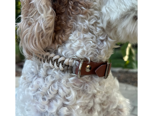 Fishtail Hand Braided Dog Collar in Tan & Cream Handmade Braided Collars Pawsh Pup Co.