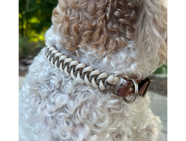 Fishtail Hand Braided Dog Collar in Tan & Cream Handmade Braided Collars Pawsh Pup Co.