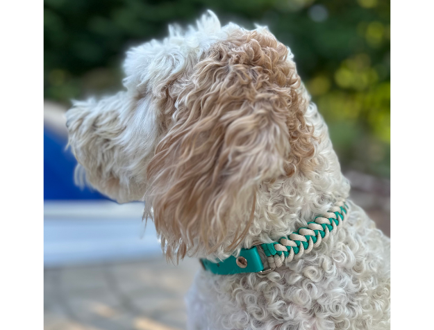 Fishtail Hand Braided Dog Collar in Teal & Cream Handmade Braided Collars Pawsh Pup Co.