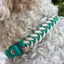 Fishtail Hand Braided Dog Collar in Teal & Cream Handmade Braided Collars Pawsh Pup Co.