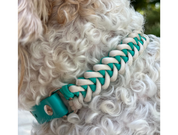 Fishtail Hand Braided Dog Collar in Teal & Cream Handmade Braided Collars Pawsh Pup Co.