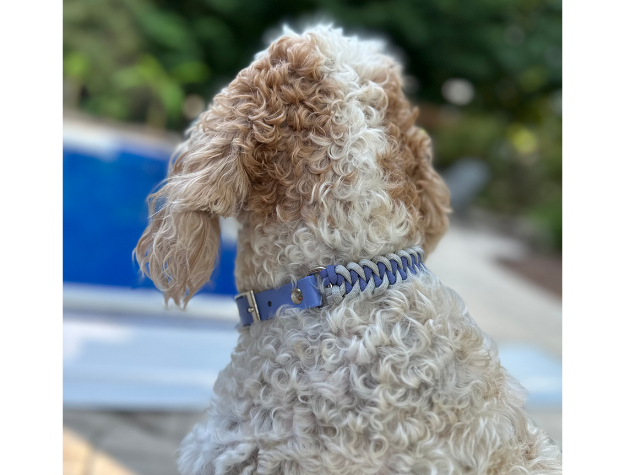 Fishtail Hand Braided Dog Collar in Lavender & Smoke Handmade Braided Collars Pawsh Pup Co.