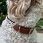 Fishtail Hand Braided Dog Collar in Burgundy & Cream Handmade Braided Collars Pawsh Pup Co.