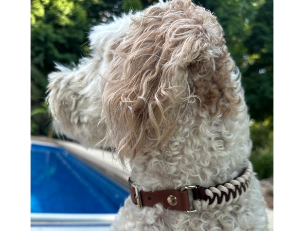 Fishtail Hand Braided Dog Collar in Burgundy & Cream Handmade Braided Collars Pawsh Pup Co.