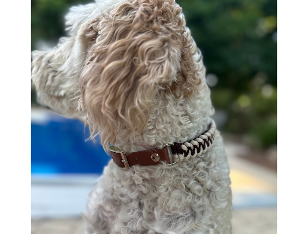 Fishtail Hand Braided Dog Collar in Burgundy & Cream Handmade Braided Collars Pawsh Pup Co.