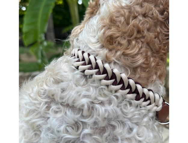 Fishtail Hand Braided Dog Collar in Burgundy & Cream Handmade Braided Collars Pawsh Pup Co.