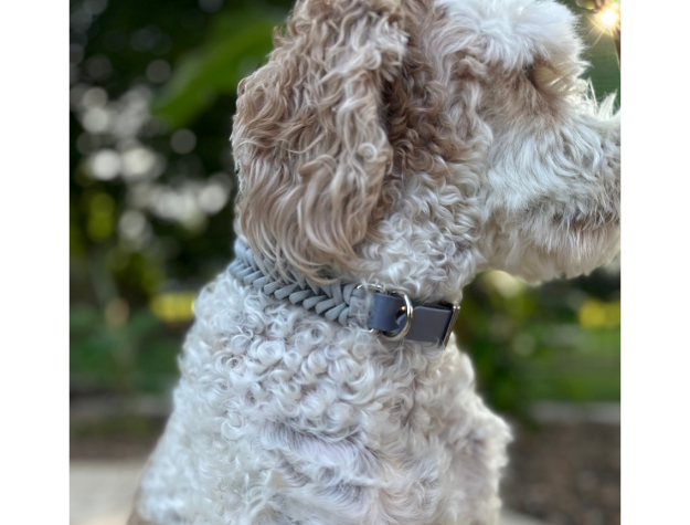 Fishtail Hand Braided Dog Collar in Graphite & Smoke Handmade Braided Collars Pawsh Pup Co.