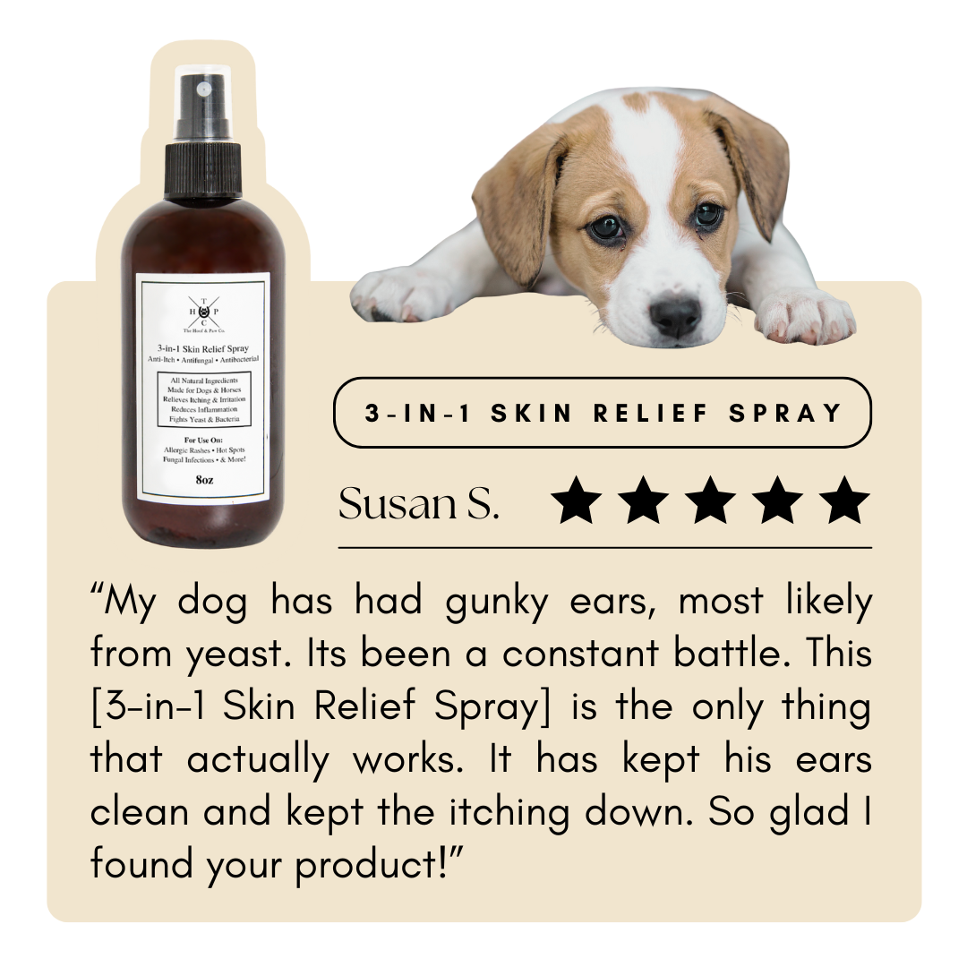 3-in-1 Skin Relief Spray for Dogs & Horses The Hoof & Paw Co.