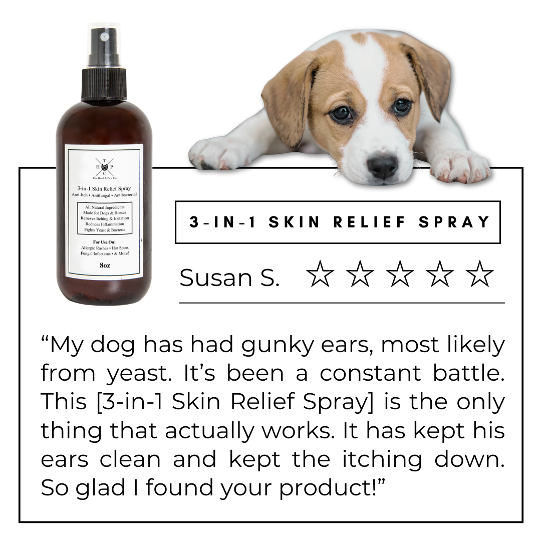 3-in-1 Skin Relief Spray for Dogs & Horses The Hoof & Paw Co.