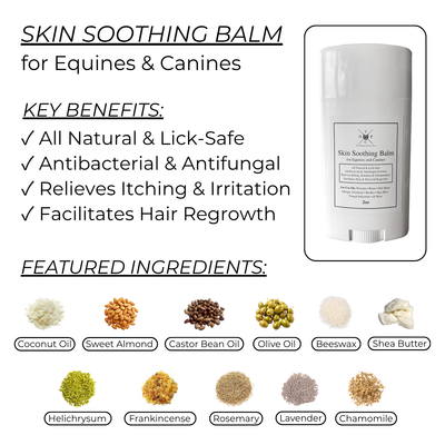 Skin Soothing Balm for Dogs & Horses - 2oz The Hoof & Paw Co.