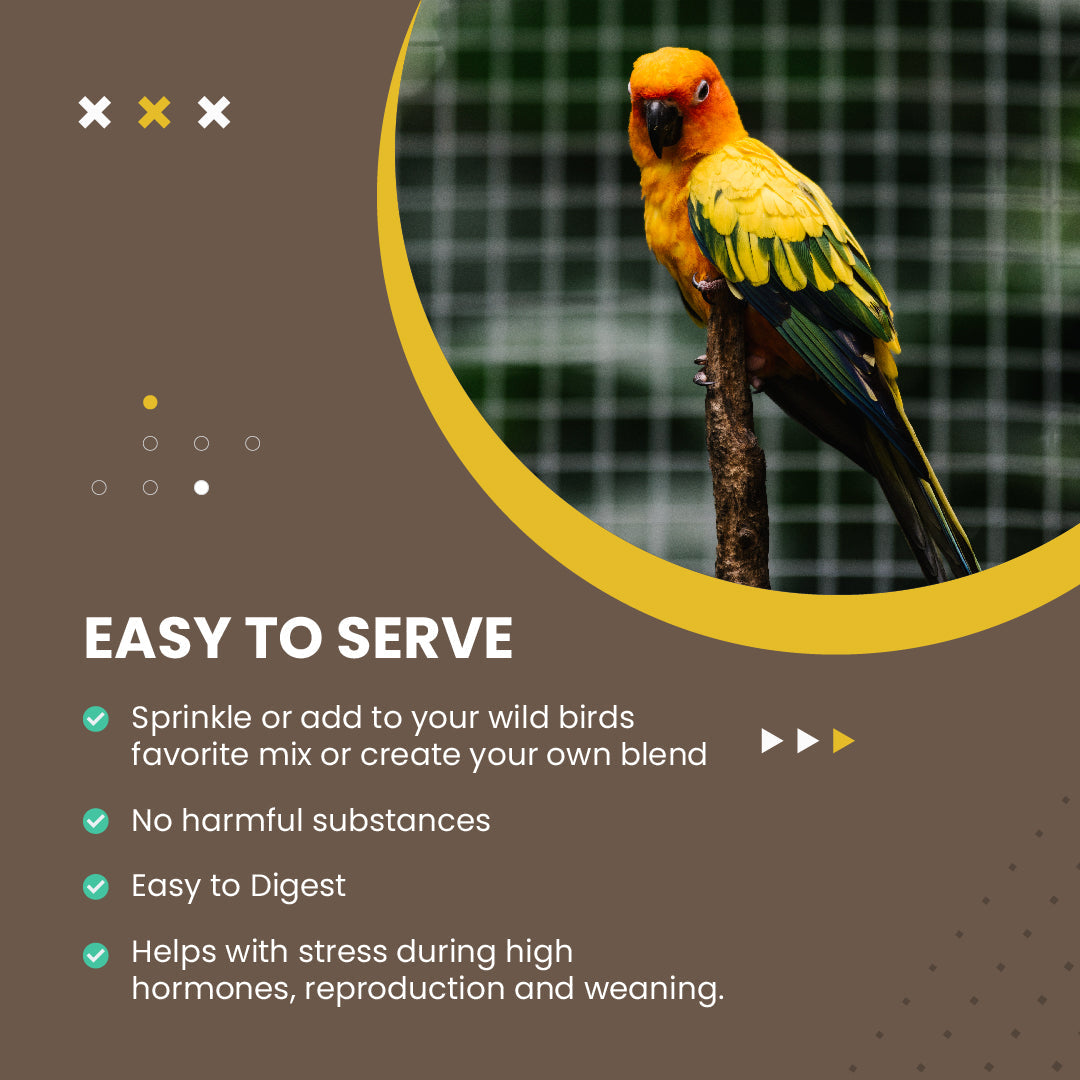 Organic Hulled Millet - 5 lbs. Animals & Pet Supplies Bird Street Bistro