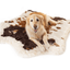 PupRug® Animal Print Memory Foam Dog Bed - Brown Faux Cowhide Dog Beds Paw.com