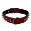 Leather + Nylon Spiked Dog Collar Dog Collar Dogline