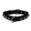 Leather + Nylon Spiked Dog Collar Dog Collar Dogline