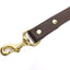 Sporting Dog Leash - Leather Brown Dog Supplies Pointer Traditions