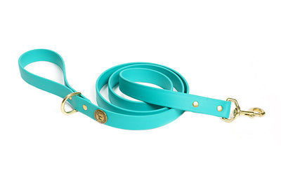 Sporting Dog Leash - Teal Dog Supplies Pointer Traditions