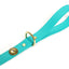 Sporting Dog Leash - Teal Dog Supplies Pointer Traditions