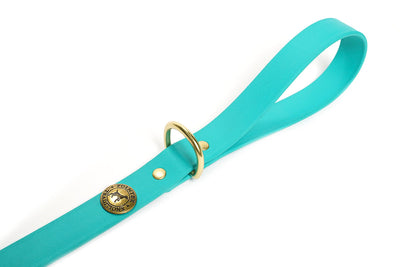 Sporting Dog Leash - Teal Dog Supplies Pointer Traditions
