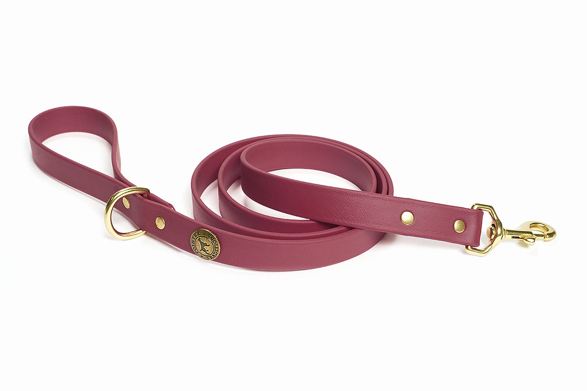 Sporting Dog Leash - Wine Dog Supplies Pointer Traditions
