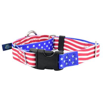 Star Spangled Buckle Martingale Dog Collar – EarthStyle Martingale Dog Collar 2 Hounds Design
