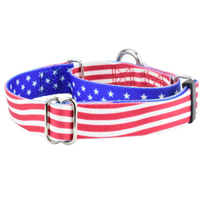 Star Spangled Martingale Dog Collar – EarthStyle Martingale Dog Collar 2 Hounds Design