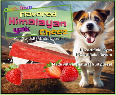 Strawberry Flavored Yak Cheese Chew - made with REAL STRAWBERRY Puree - Single One Yak Chew Chief’s Treats and Pet Supplies