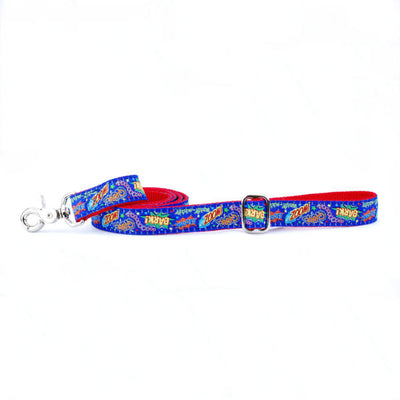 1″ Super Dog Ribbon Dog Leash 2 Hounds Design