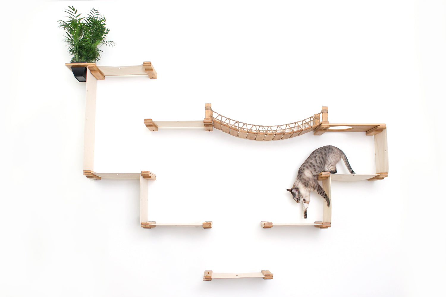 The Temple - Giant Cat Tree on Wall Cat Condo Catastrophic Creations