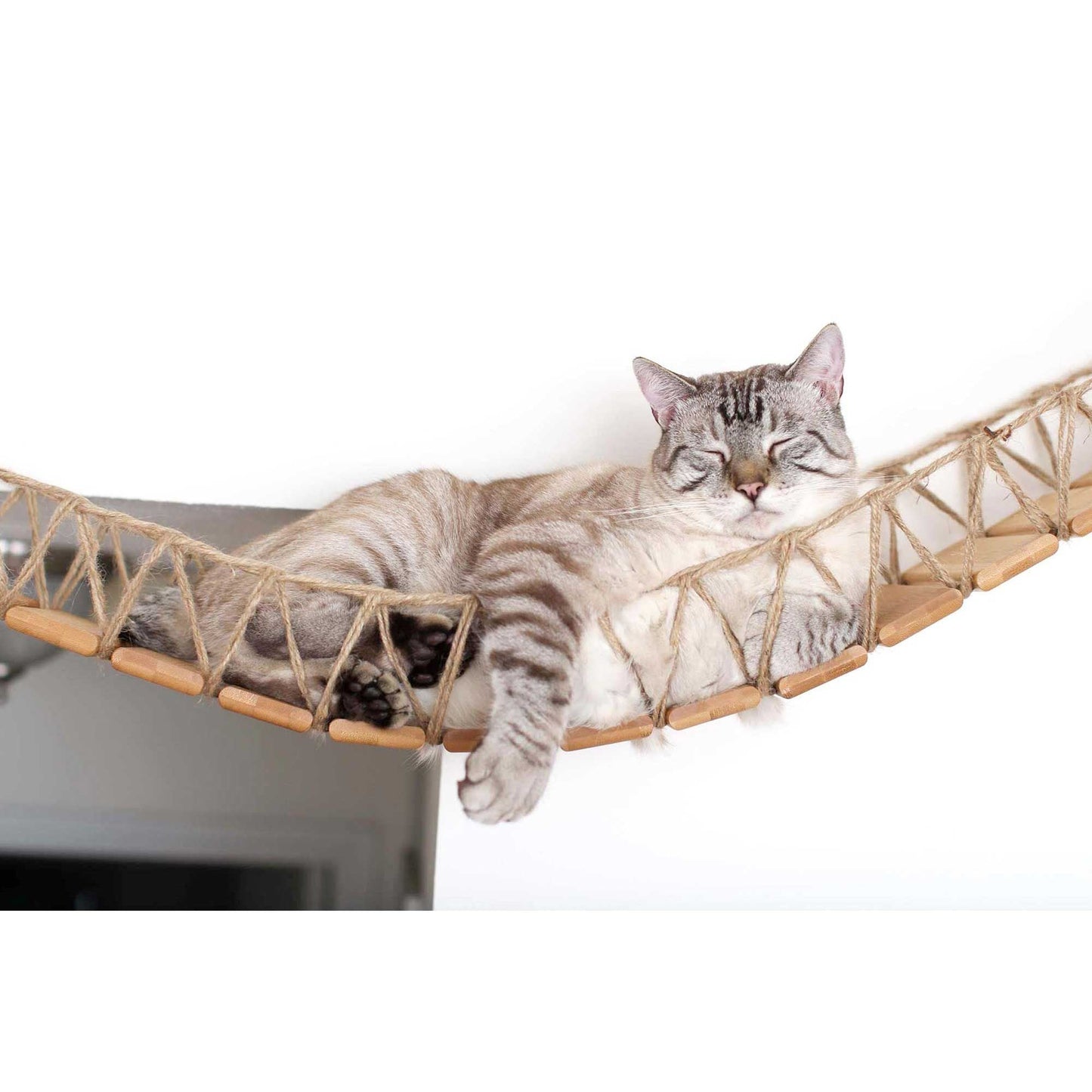 Cat Wall Bridge and Shelf Set Cat Bridge Catastrophic Creations