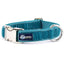 Teal Velvet Essential Dog Collar 1 inch wide 2 Hounds Design