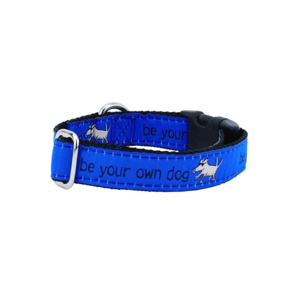 1″ Be Your Own Dog Teddy The Dog – Blue Essential Buckle Martingale Dog Collar Martingale Dog Collar 2 Hounds Design