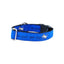 1″ Be Your Own Dog Teddy The Dog – Blue Essential Dog Collar Dog Collar 2 Hounds Design