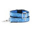 1″ Friends Don’t Let Friends Fetch Teddy The Dog Essential Martingale Dog Collar Martingale Dog Collar 2 Hounds Design